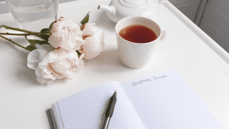 gratitude is attitude