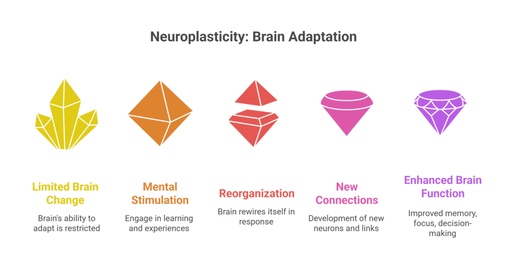 Quick Brain Exercises for Adults