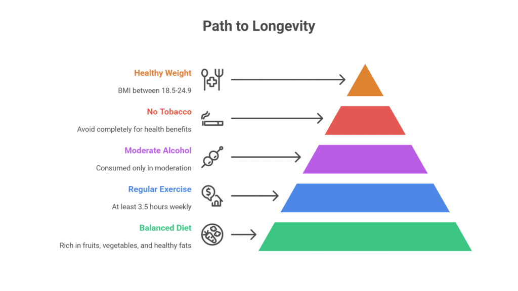 The Link Between Healthy Habits and Longevity - lealmind